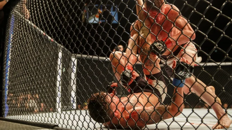 The Evolution of UFC